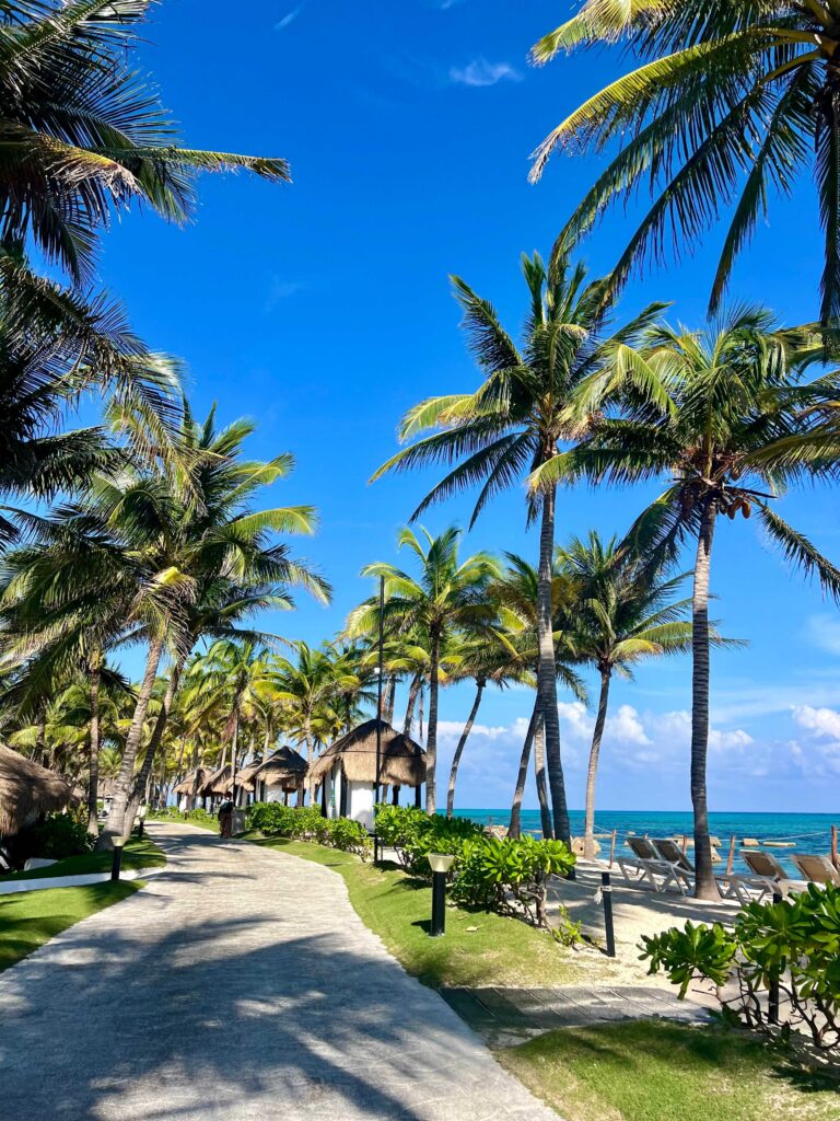 Palm-lined beachfront pathway at El Dorado Royale in Riviera Maya