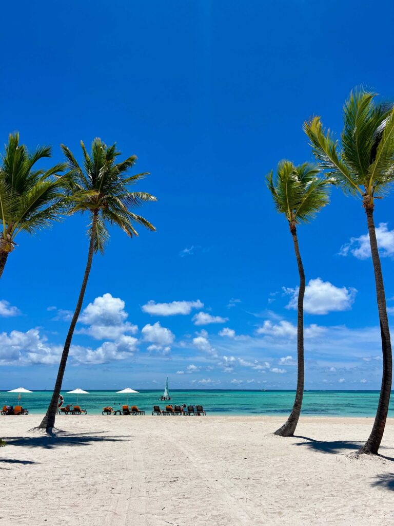 best all inclusive resort in dominican republic hyatt ziva beach 