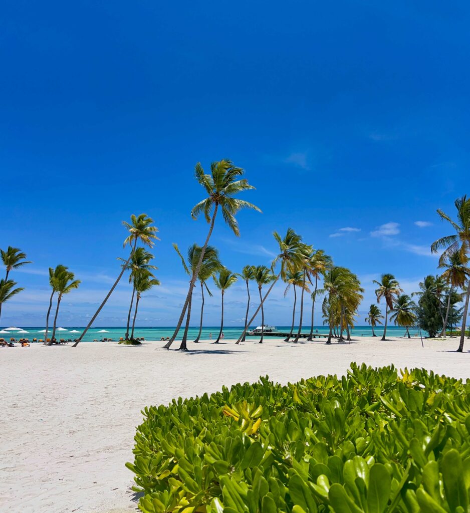 best family all inclusive resort in dominican republic hyatt ziva beach