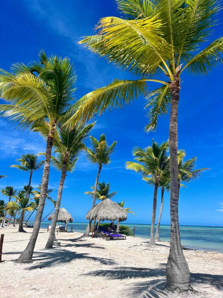 best all inclusive resort in dominican republic secrets cap cana