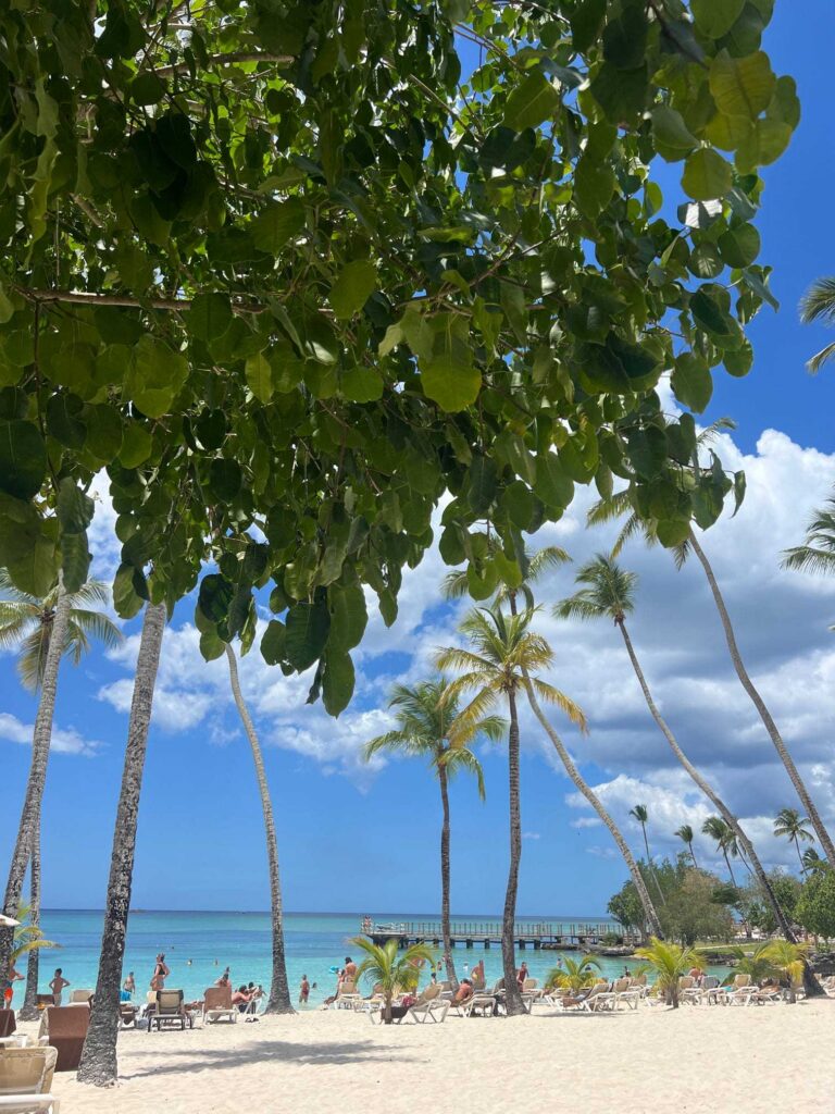 best all inclusive resort in dominican republic secrets la romana beach