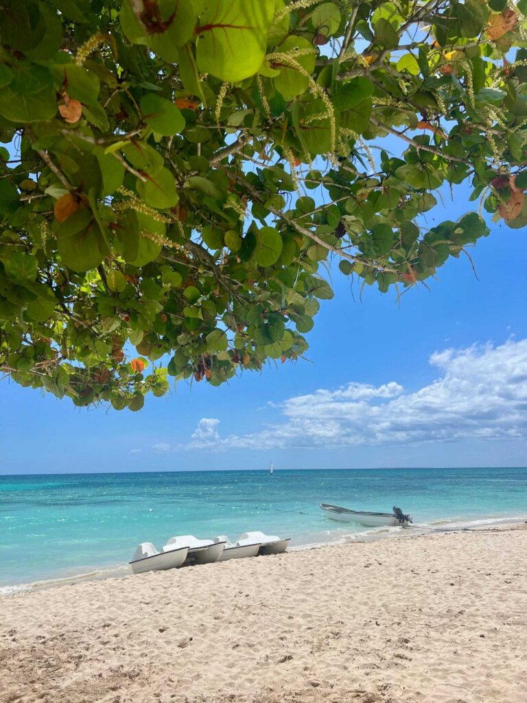 best all inclusive resort in dominican republic secrets la romana boats by the ocean