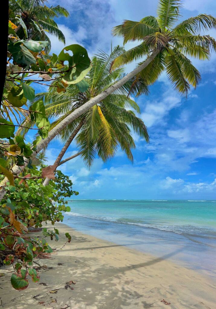best all inclusive resort in dominican republic secrets playa esmeralda 