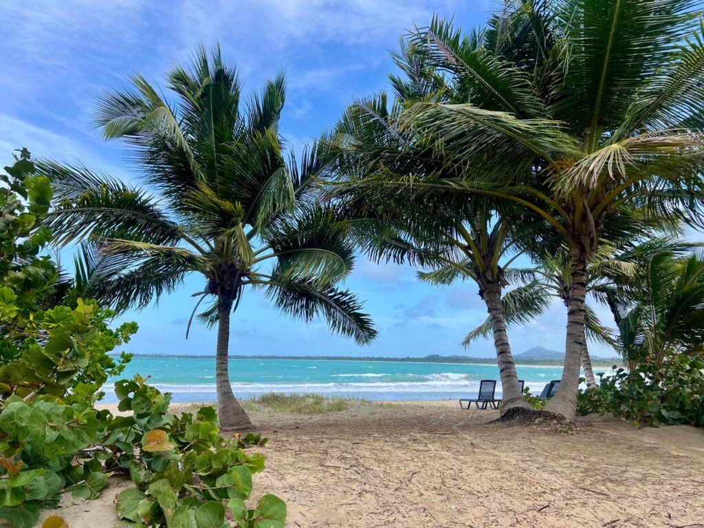 best beach all inclusive resort in dominican republic 