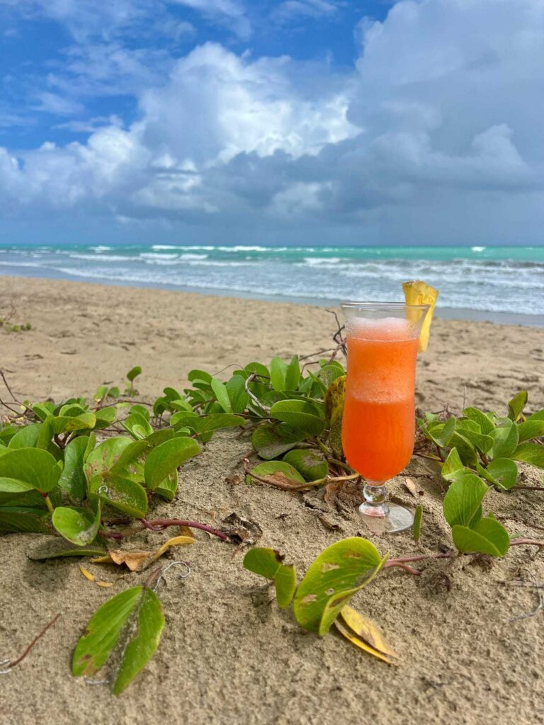 best all inclusive in dominican republic with drink in the sand secrets playa esmeralda
