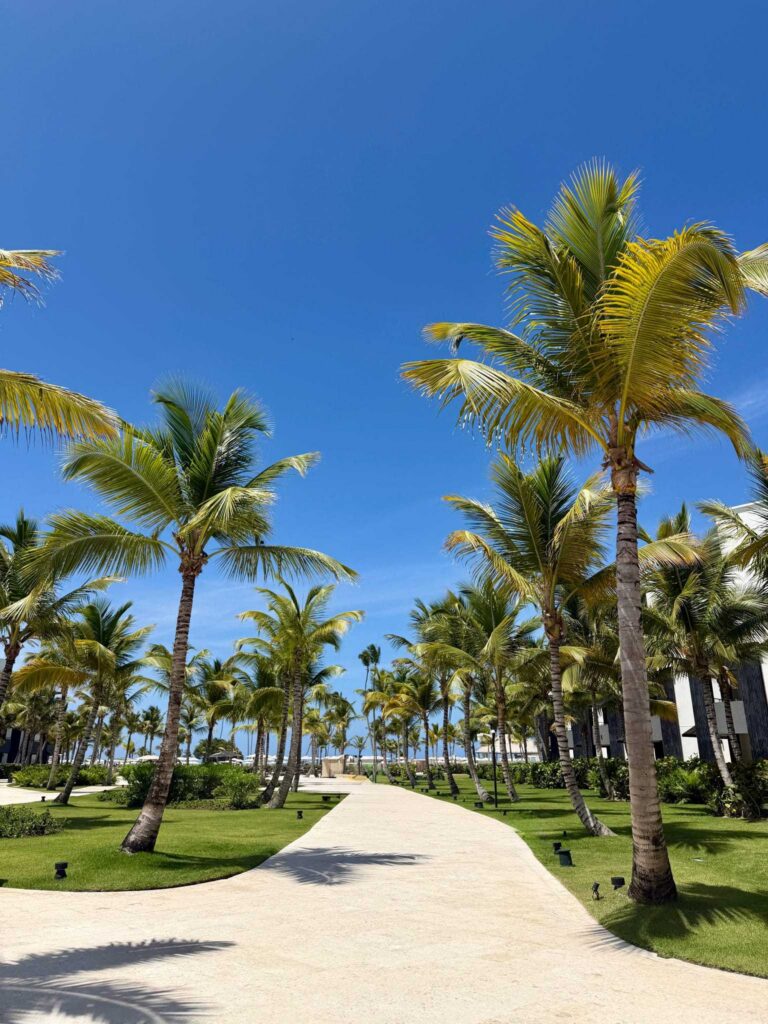 best all inclusive resort in dominican republic secrets tides tropical views