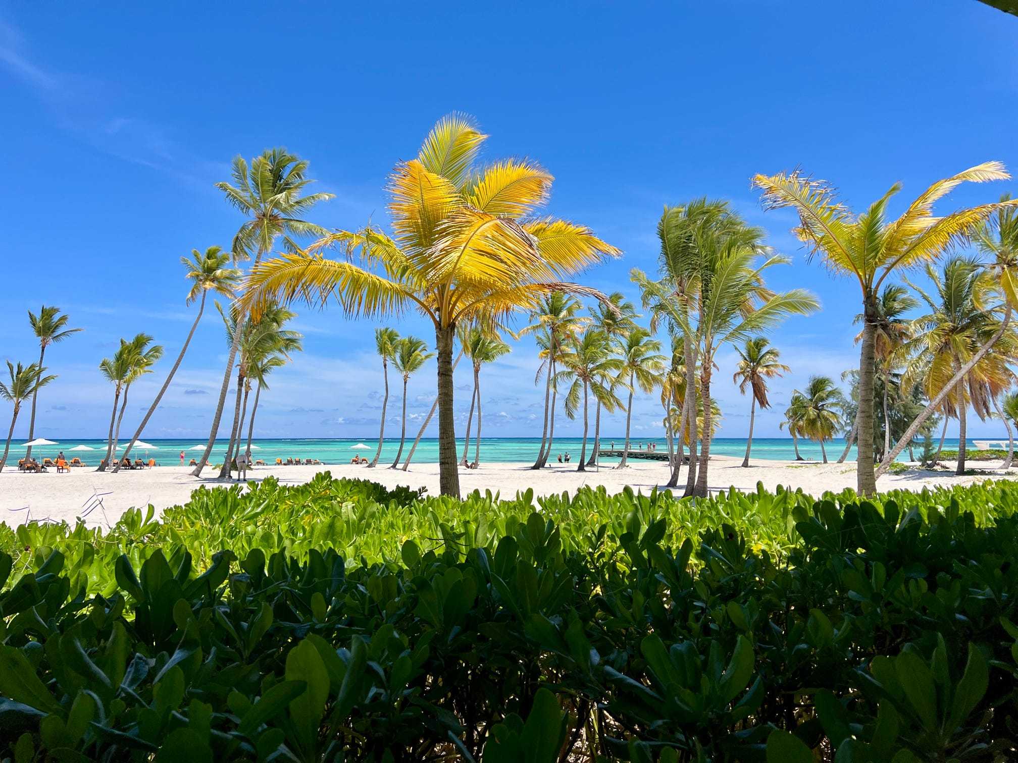 a travel agent answers the question what is the best all-inclusive resort in the dominican republic