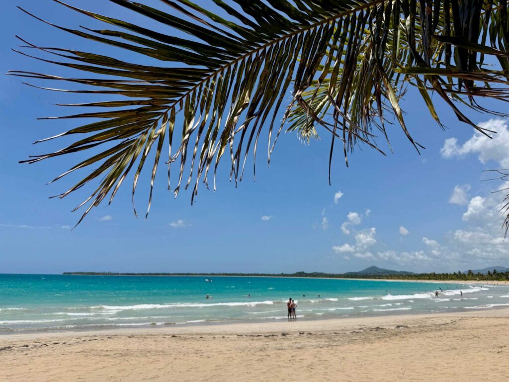 what is the best all inclusive resort in dominican republic review
